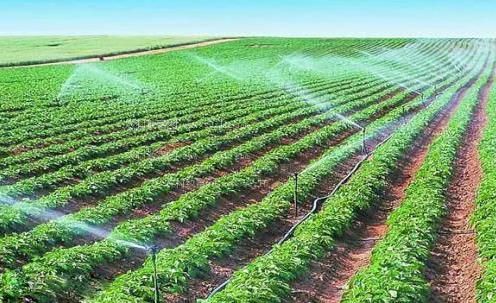 欧美操肥肥B农田高 效节水灌溉